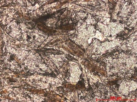 cb tr-act Figura 19 - Fotomicrografia de rocha metaultramáfica mostrando tremolita-actinolita com bordas corroídas inclusa em blasto de