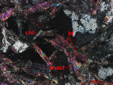 A B Figura 20 - Fotomicrografias de rocha metaultramáfica mostrando clorita (chl), biotita (bt) e tremolita actinolita (tr-act) em