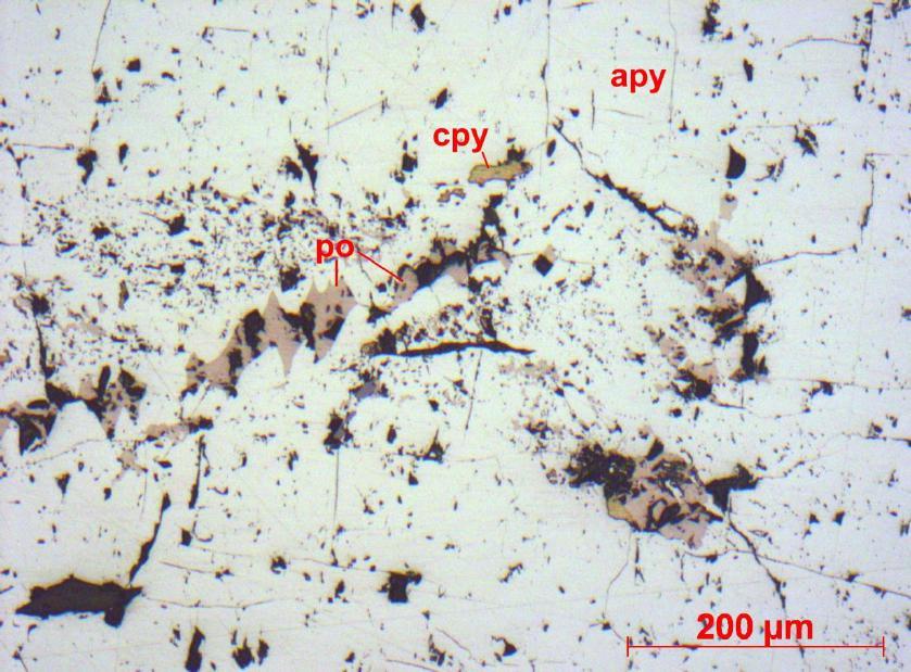 Arsenopirita ocorre disseminada, bem formada, chega a 10 mm e sobrecresce a foliação, além de apresentar constantemente inclusões de pirrotita e calcopirita (Figura 31).