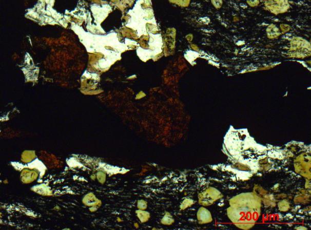 Os filitos carbonosos exibem microvênulas compostas por quartzo e carbonato, algumas formando dobras apertadas com a foliação principal plano axial.