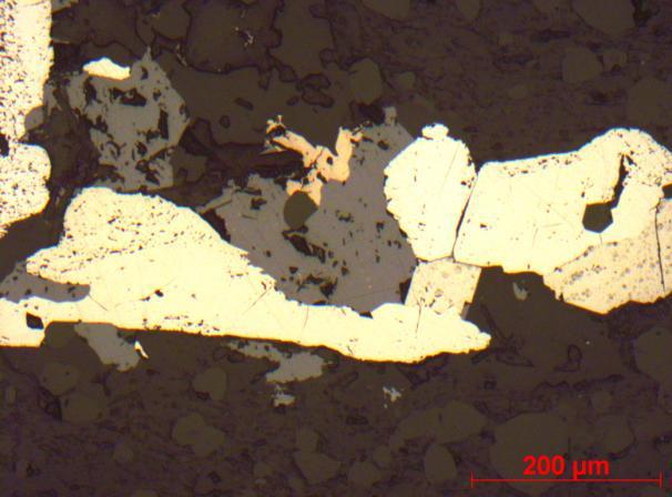 tur tur Figura 42 - Fotomicrografia de filito carbonoso mostrando a foliação bem definida sobrecrescida por cristais de turmalina (tur).