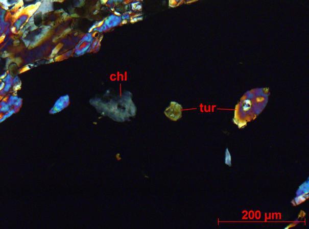 quartzo e carbonato, microvênulas subparalelas à orientação preferencial definida pela turmalina.