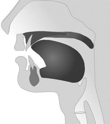 8 Sibilantes Na produção de qualquer consoante, há algum tipo de obstrução na passagem de ar no trato vocal por articuladores do aparelho fonador.