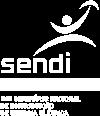 XVIII Seminário Nacional de Distribuição de Energia Elétrica SENDI 2008-06 a 10 de outubro Olinda - Pernambuco - Brasil ConMAN Controle de Serviços de Manutenção de MT e BT Sérgio Augusto Ivanenko