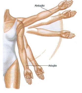 Músculo ESQUELÉTICO Movimentos do corpo ABDUÇÃO: Consiste em afastar o membro lateralmente do centro do corpo.