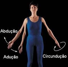 Músculo ESQUELÉTICO Movimentos do corpo Circundação: Em alguns segmentos do corpo especialmente nos