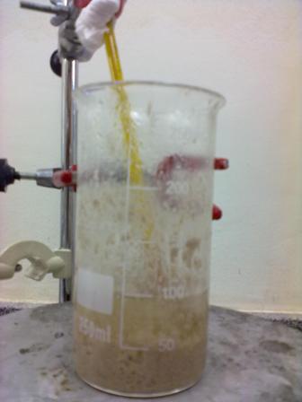 sedimentáveis por gravidade caem no frasco coletor.