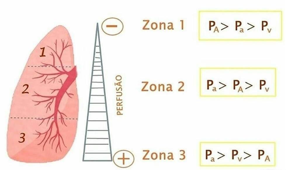 O movimento de entrada e saída do ar resistência à movimentação dos gases. A resistência das vias aéras depende da viscosidade do ar, do seu comprimento e raio.