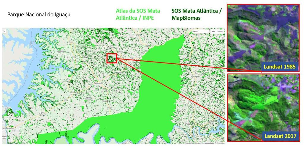 De acordo com o mapeamento do MapBiomas, 15% das florestas atuais não existiam no final da década de 80. Grande parte dessas florestas secundárias não são monitoradas pelo Atlas.
