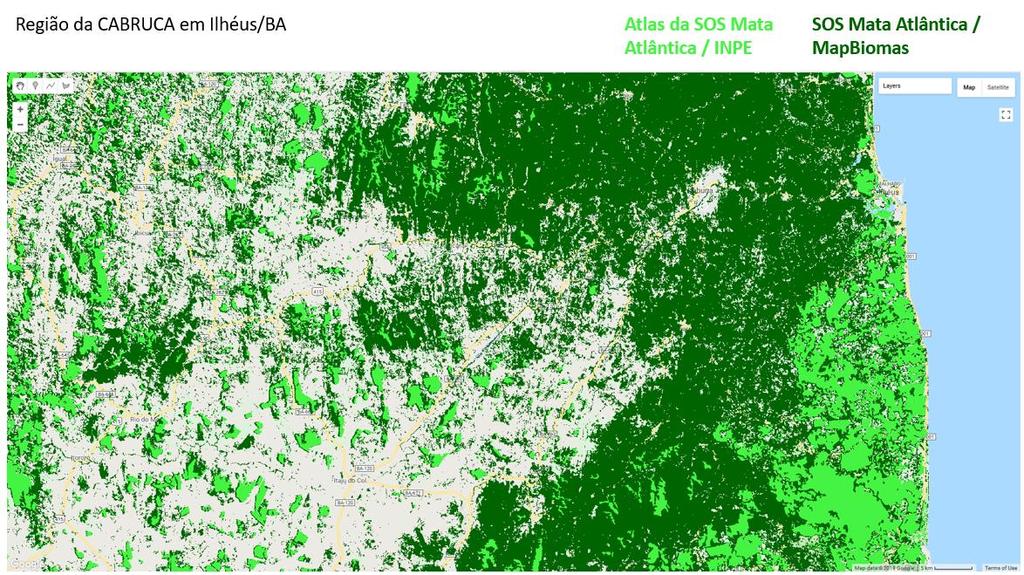 Uma das áreas que apresenta maior diferença no mapeamento é a região do litoral sul da Bahia. Essa região inclui as matas de Cabruca, onde o cacau é plantado no sub-bosque das florestas nativas.