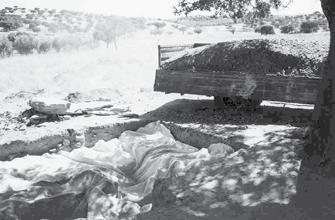 U.E. 24 Bolsa de terras que enchia a fossa da violação, no lado Norte de M1, por baixo do esteio derrubado. É constituída por terras vermelhas, muito compactas. Amb. 1. 5.3.