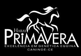 4º lugar no Potro do Futuro ABQM de Vaquejada/15 (Aberta-Puxar). * (10) Esteak First RIL, M, por A Streak Of Cash. * (11) Feiticeira Fly RIL, F, por Xodó Fly Toll ZO.