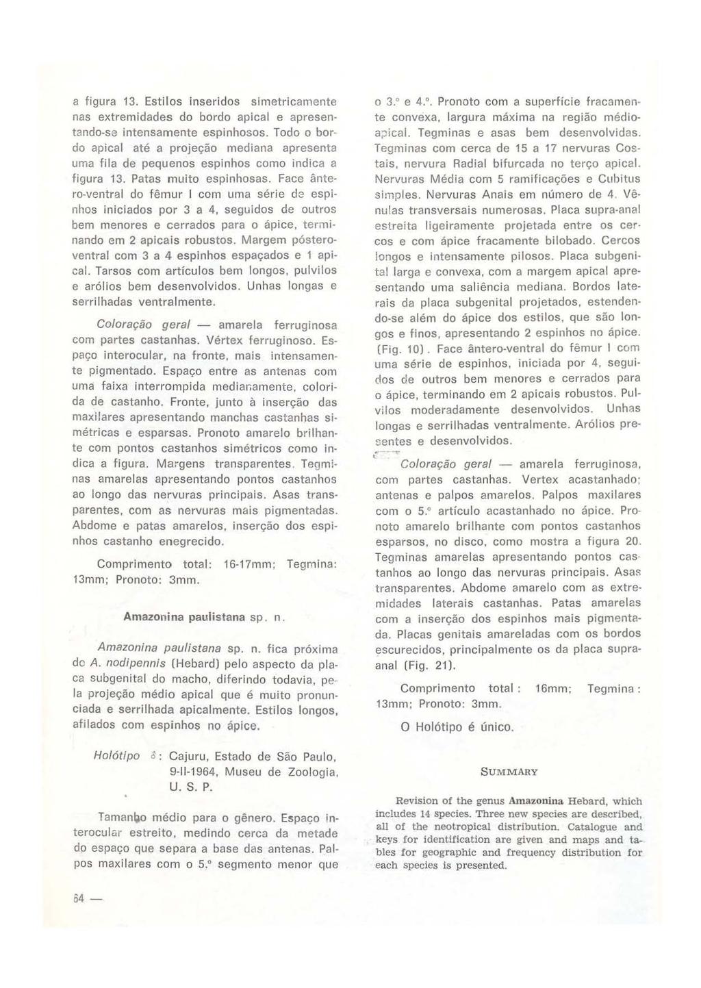 a figura 13. Estilos inseridos simetricamente nas extremidades do bordo apical e apresentando-se intensamente espinhosos.