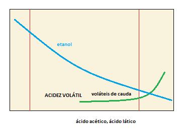 destilado (coração), afetam as quantidades relativas dos componentes voláteis, influenciando as características da cachaça (LÉAUTÉ, 1990).