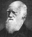 Teoria da Evolução 1859 - Charles Darwin publica o livro A Origem das Espécies :.