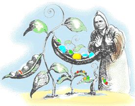 Teoria da Evolução 1865- Gregor Mendel apresenta experimentos do cruzamento genético de ervilhas.