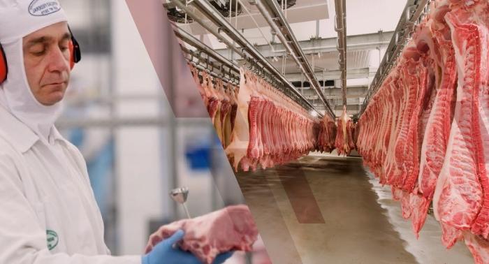 Segundo o MDIC, o grande salto nos embarques da carne suína brasileira se deu a partir de abril de 2019 e, no acumulado do ano, o Brasil já exportou um volume 27,32% maior que em 2018 O mercado tem