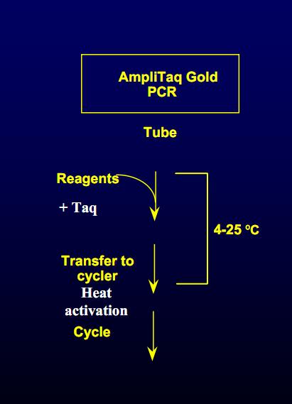 AmpliTaq Gold enzima recombinante forma inativada ativação 10 min 94 o C