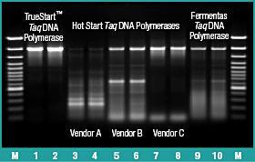 Comparação da PCR com a especificidade TrueStart Hot Sart Taq DNA polimerase comercial ou outros sistemas de PCR Hot Start em um alvo complexo.