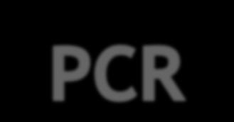 Para cada lâmina, preparar 25 l de solução: 2.5 l de PCR buffer 4.5 l de MgCl 2 (25 mm solução estoque) 4.0 l de solução dntp (200 M concentração final de cada nucleotídeo) 1.