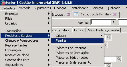 3.2 Cadastro de famílias de materiais Para visualizar as famílias de materiais previamente cadastradas clique na sequência indicada abaixo: Cadastros>Produtos e Serviços>Famílias A tela