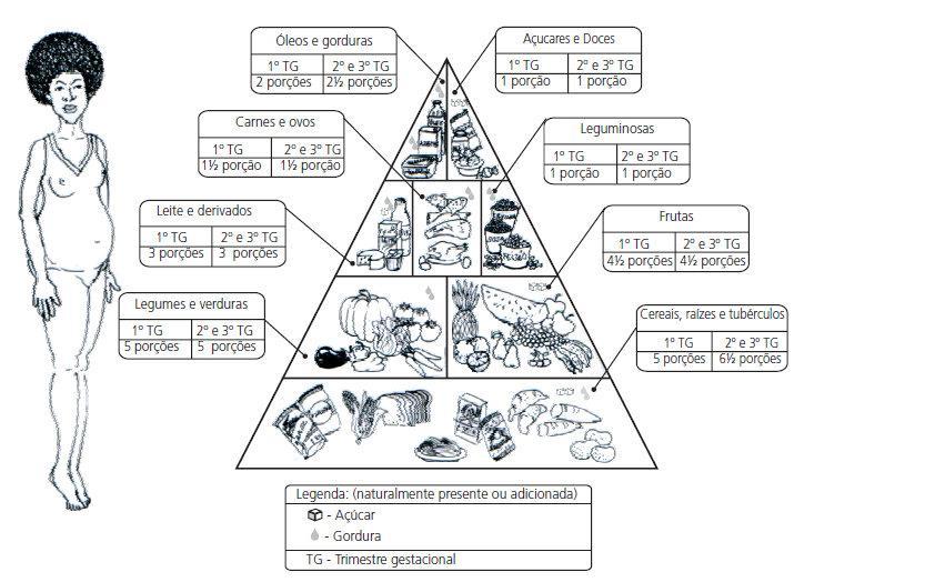 2.5 Análise qualitativa e quantitativa do consumo alimentar Na análise qualitativa do consumo alimentar de gestantes, adotou-se nesse estudo as recomendações baseadas na Pirâmide Alimentar Adaptada
