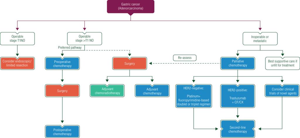 ESMO Gastric Cancer Guidelines Smyth et al, Ann