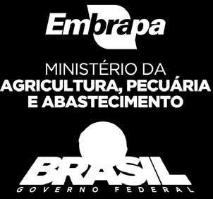 br www.embrapa.