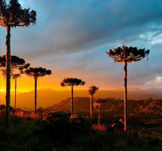 SERRA GAÚCHA A nossa região possui na paisagem um dos mais belos patrimônios: as colinas, vales, rios, as riquezas naturais e aquele ar puro que lembra a Toscana são pura inspiração!