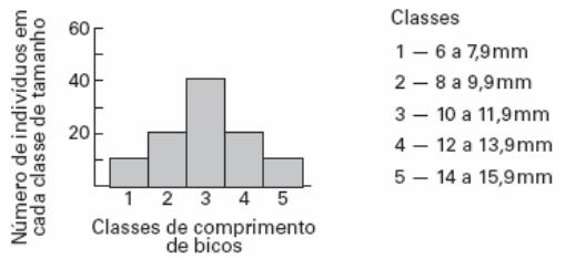 b) Que pressão seletiva deve ter determinado a presença de aves com bicos diferentes em diferentes ilhas?