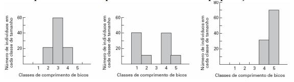 (VUNESP) Pesquisadores que estudavam a população de uma espécie de ave que se alimenta de sementes, habitante de uma ilha, mediram o comprimento dos bicos de cem indivíduos.