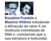 Histórico Os autores receberam o Prêmio Nobel de Medicina, em 1962, junto com Maurice H. F. Wilkins (biofísico britânico) Rosalind E.