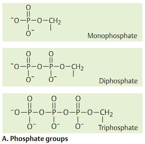 Fosfatos