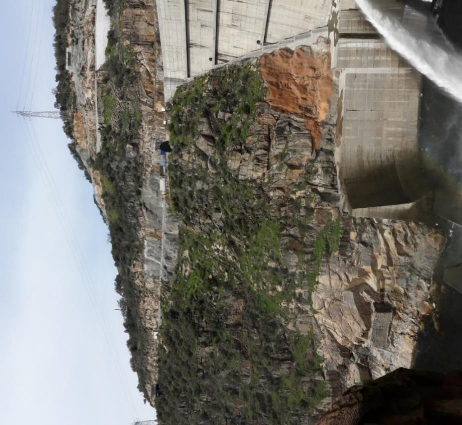 Contributos para a verificação das condições de segurança em vertentes íngremes de formações rochosas com possibilidade de destacamento de blocos Figura 47 - Talude em estudo, barragem de Foz Tua