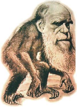 TEORIAS SOBRE A ORIGEM DO HOMEM EVOLUCIONISMO Segundo Darwin, todas as coisas vivas surgiram através de um processo evolutivo, mecânico e natural, a