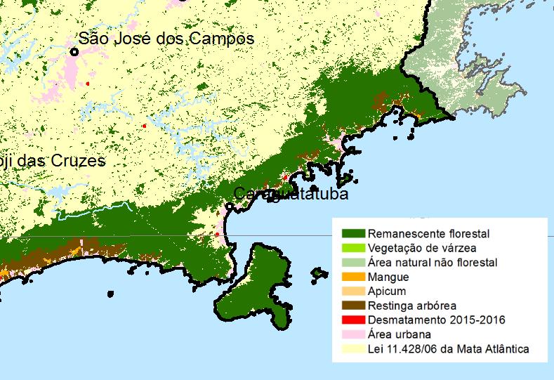 Projeto de Avaliação de Impactos Cumulativos 119 por município, mas esses valores não são coincidentes entre relatórios, o que indica a dificuldade de obter estimativas corretas e coerentes sobre