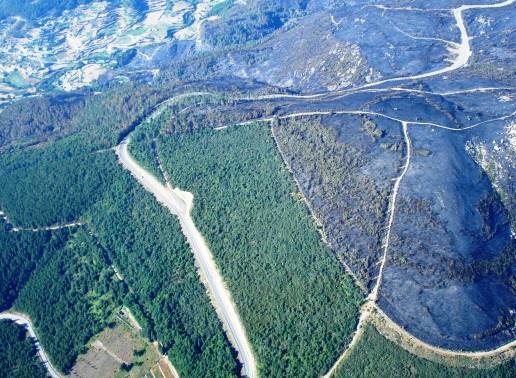 Incêndios em Portugal Ignições