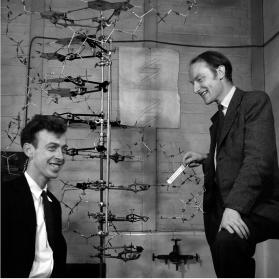 Francis Crick