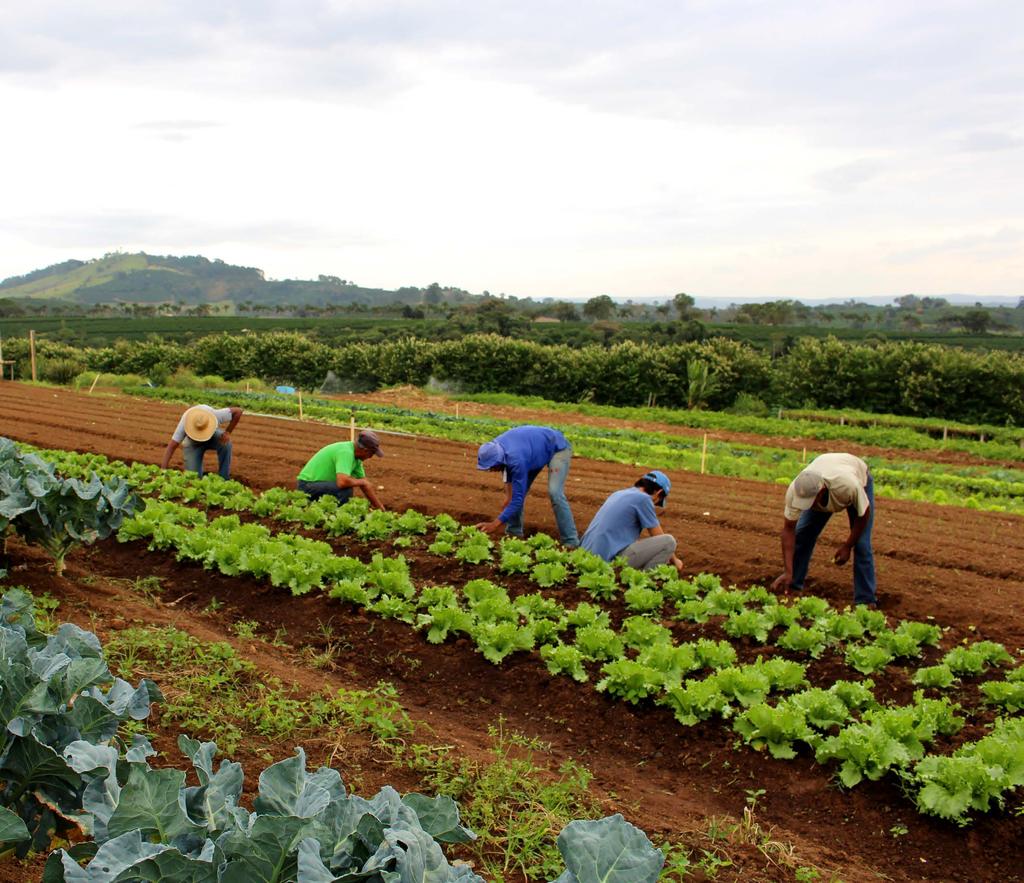 EIXO RECURSOS NATURAIS O eixo tecnológico de RECURSOS NATURAIS compreende tecnologias relacionadas a extração e produção animal, vegetal, mineral, aquícola e pesqueira.