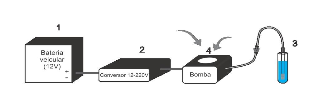 34 apresentam uma banda de fluorescência em torno de 330 nm, este comprimento de onda foi usado para obtenção dos espectros de excitação, varrendo-se a faixa de 220 a cerca de 300 nm.