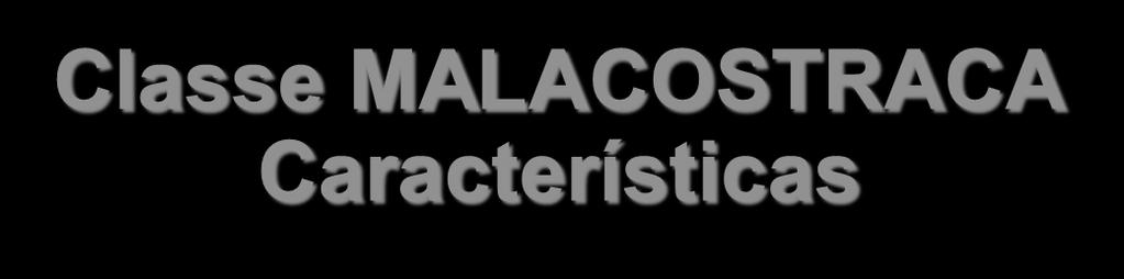 Classe MALACOSTRACA Características
