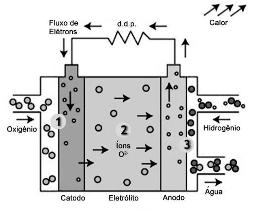 dióxido de carbono também pode ser emitido (STAMBOULI & TRAVERSA, 2002). Figura 2.