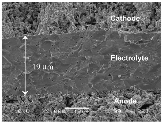 Gadolínia possui cerca de 19 µm de espessura. Boa adesão pode ser vista tanto no cátodo-eletrólito quanto no ânodo-eletrólito. Cátodo Eletrólito Ânodo Figura 2.