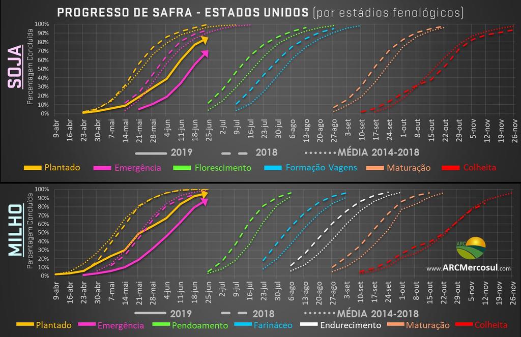 O ATUAL FOCO DO MERCADO