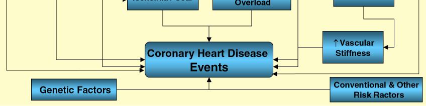 with chronic kidney