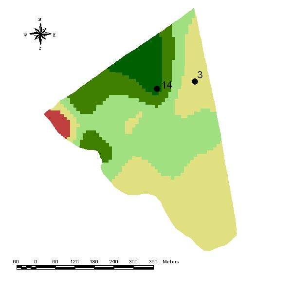 Índice de Cone (kpa) Umidade (%) 32 30,7 30 28,7 28 26 26,8 24,4 26,0 26,2 24 Baixa Média Alta Condição de Umidade