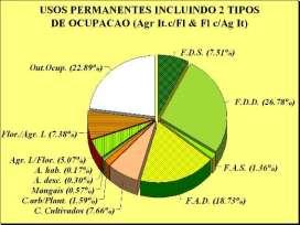 USOS PERMANENTES DA TERRA Agricultura Itenerante com Florestas e Florestas com