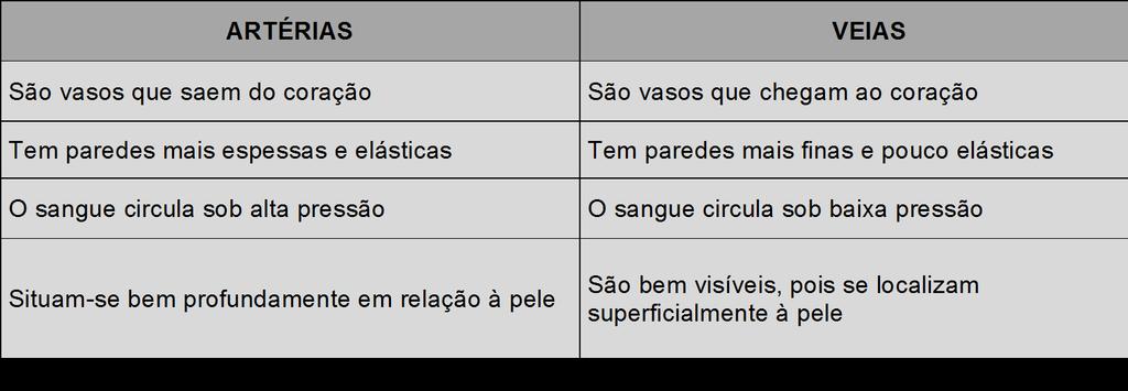 VASOS SANGUÍNEOS O sangue é transportado pelas artérias