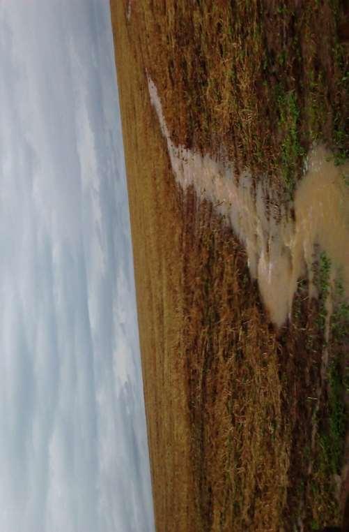 Evento de dezembro de 2015-188mm Semeadura da Soja Resíduo do trigo Data P(mm) Perda de água (m³)