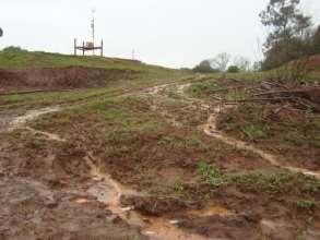 Contaminação dos